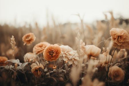 Orange Flowers