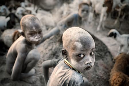 Little Mundari shepherd