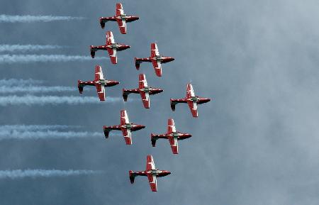 Snowbirds