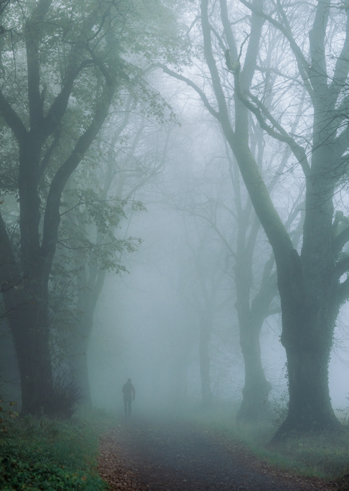 Lonely but protected de Ulrike Eisenmann