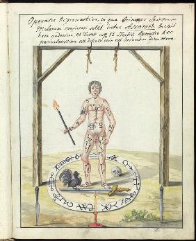 Compendium rarissimum totius Artis Magicae...