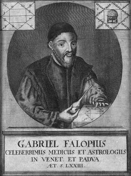 Portrait of Gabriele Falloppio (1523-1562) de Unbekannter Künstler