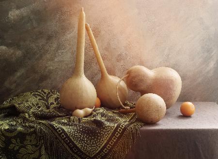 Still life with medicinal pumpkins