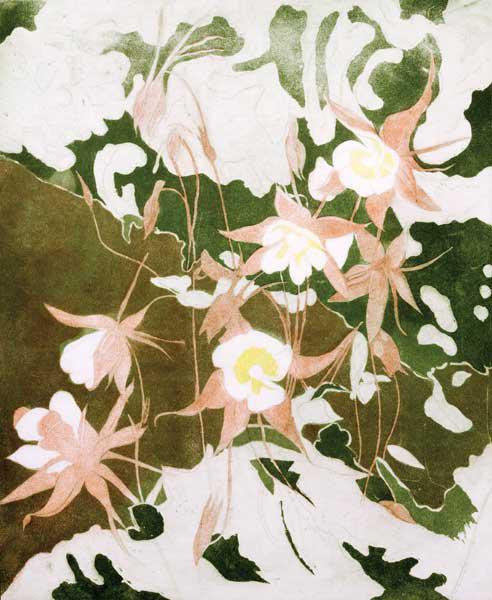 Columbines (print)