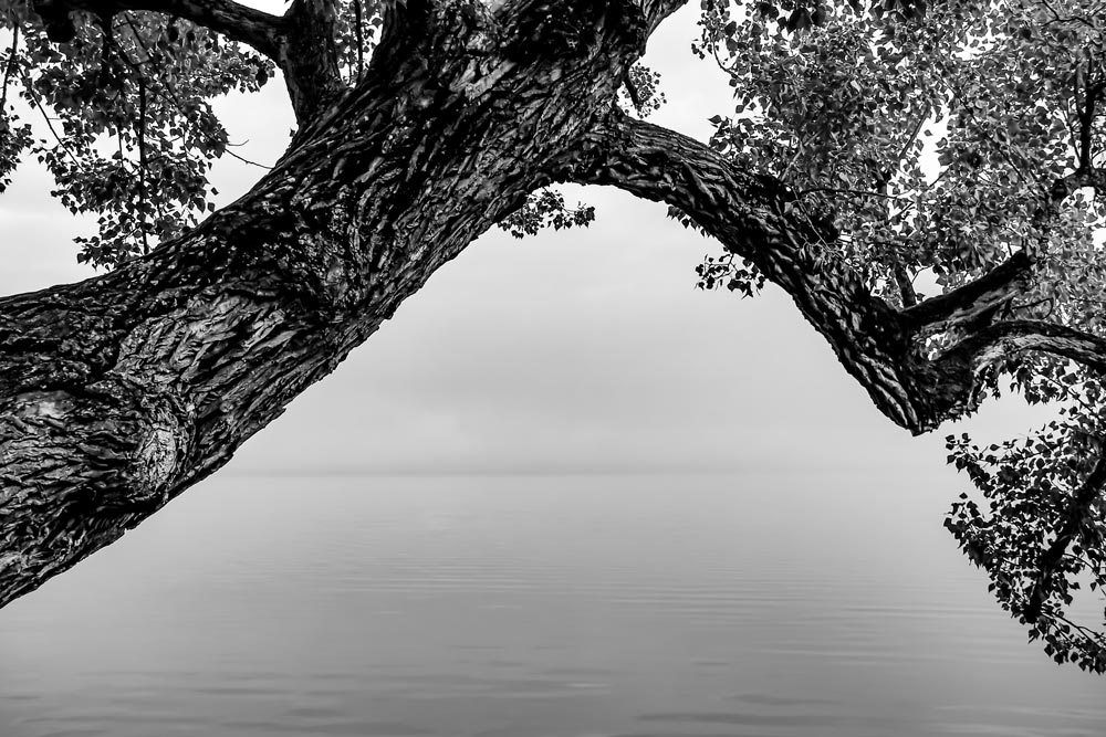 Ammersee de Carmen Varo