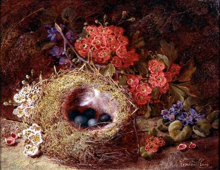 Still life of a bird's nest and blossom de Vincent Clare