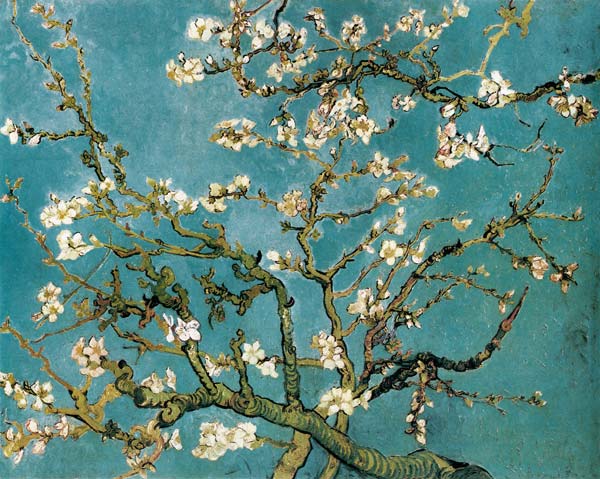 Almendro en flor - cuadro de Vincent Van Gogh en reproducción impresa o  copia al óleo sobre lienzo.