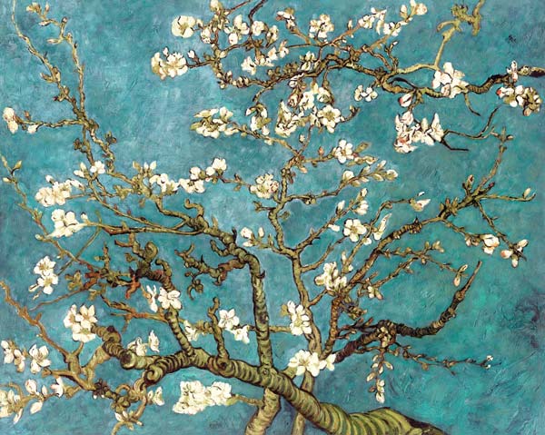 Almendro en flor (copia) - Vincent van Gogh