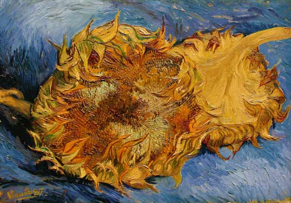 The Sunflowers de Vincent Van Gogh