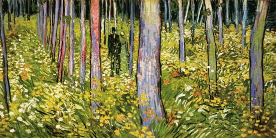 Undergrowth de Vincent Van Gogh