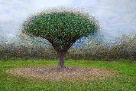 Round and Round The Mulberry Bush