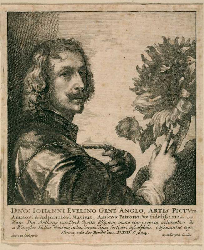 Selbstbildnis Anthonis van Dyck mit Sonnenblume (nach dem Gemälde von 1632, London, National Gallery de Wenzel Hollar