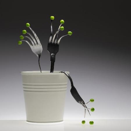 Fork plant