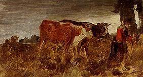 Farmer with cows