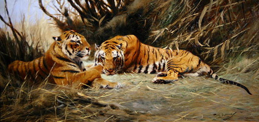 Siberian Tigers, 1913 (oil on canvas) de Wilhelm Kuhnert