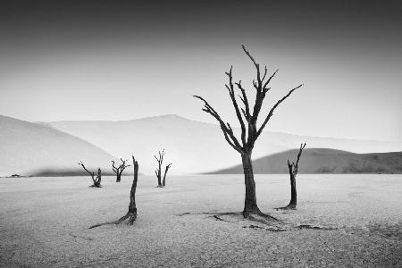 Deadvlei