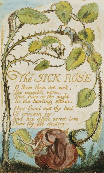The Sick Rose, from Songs of Innocence de William Blake