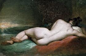 Nude Model Reclining