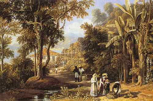 Garden scene of the Borganza coast, Rio de Janeiro de William Havell