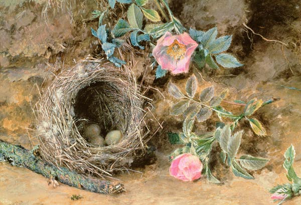 Wild Roses and Birds' Nests de William Henry Hunt
