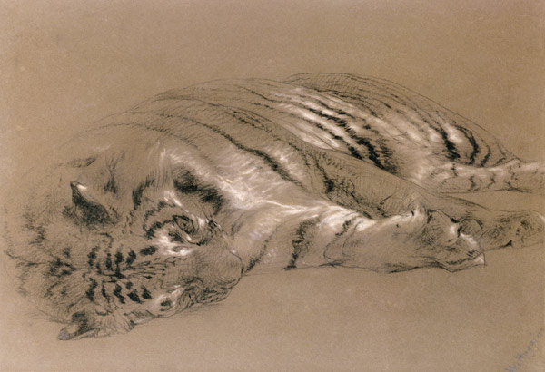 A Sleeping Tiger de William Huggins