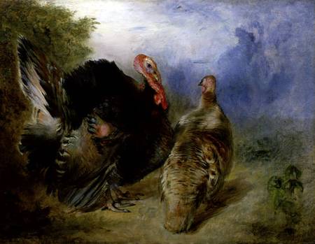 Turkeys de William Huggins
