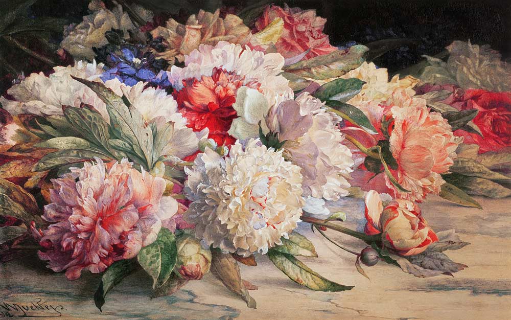 Peonies, 1892 (pencil, w/c, heightened with white & gum arabic on de William Jabez Muckley