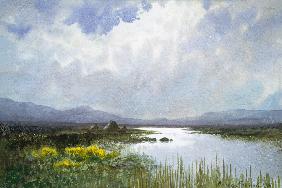 Connemara Landscape