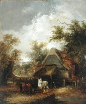 Farmyard Scene