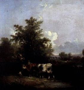 Landscape with Cattle