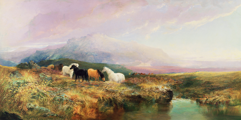 Ponies on Dartmoor de William Widgery