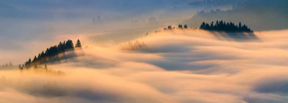 Misty morning de Wojciech Kruczynski