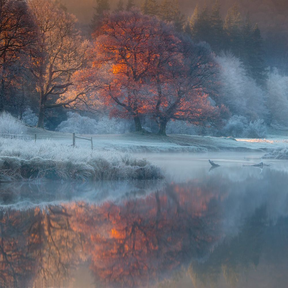 River Brathay de Wolfy