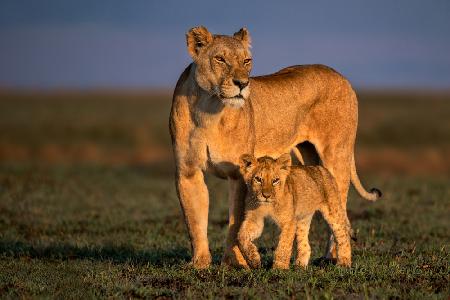 Mother &amp; son