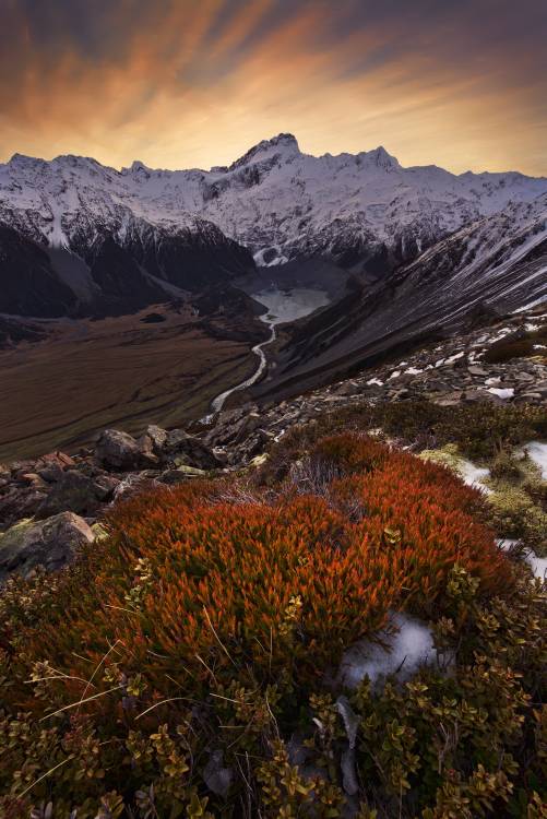 Mount Sefton de Yan Zhang