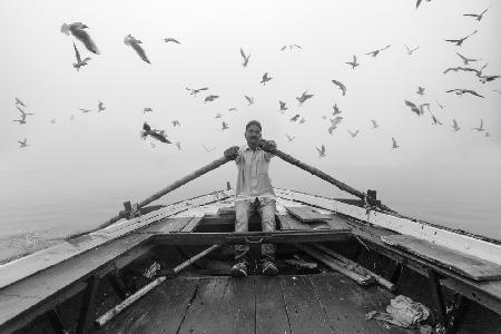 Birds of the Sacred Ganges River