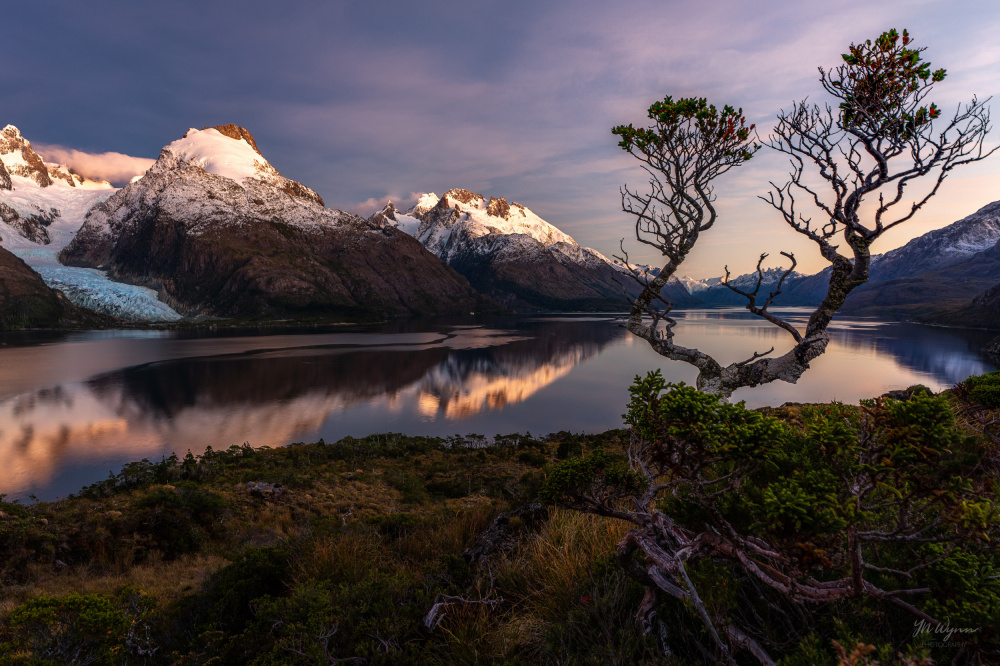 Marvels of Patagonian Fjords de Ye Naing Wynn