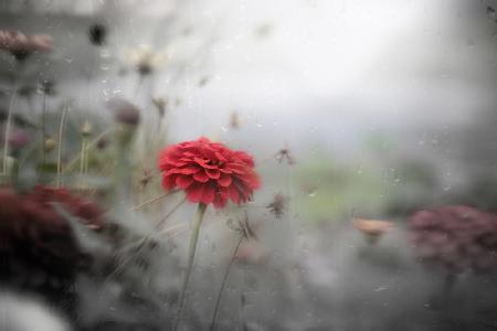 potrait of autumn