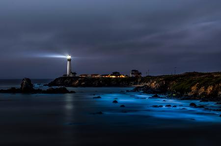 Summer Night by the Ocean