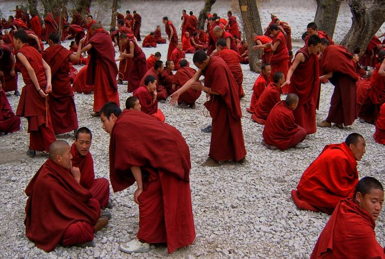 Monks debating de Yvette Depaepe